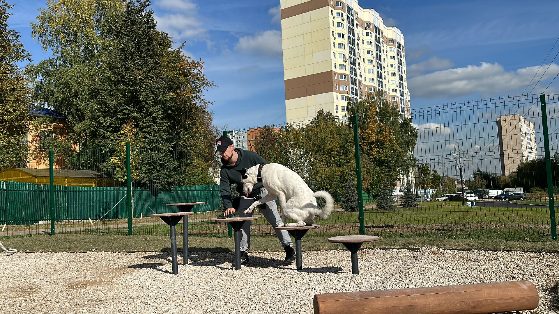Одинцово, Благоустройство, Парки Подмосковья, Собаки,