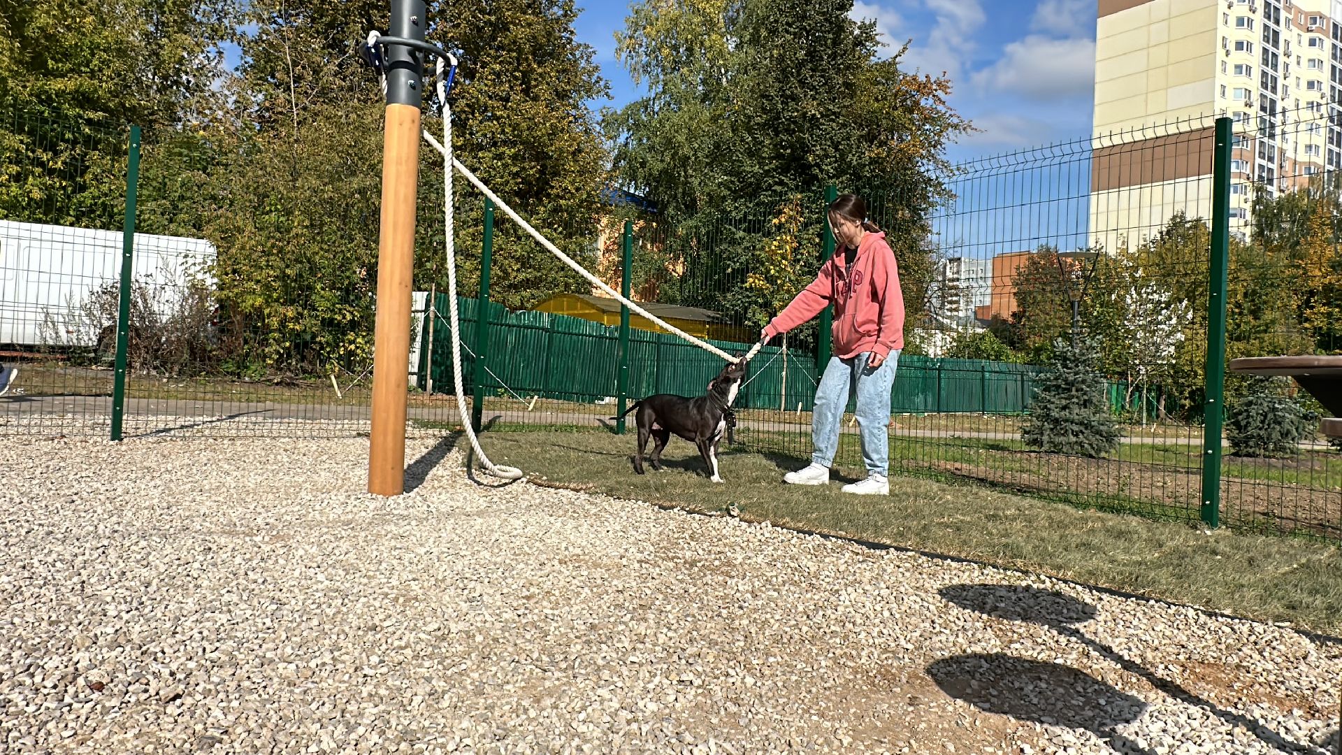 Одинцово, Благоустройство, Парки Подмосковья, Собаки,