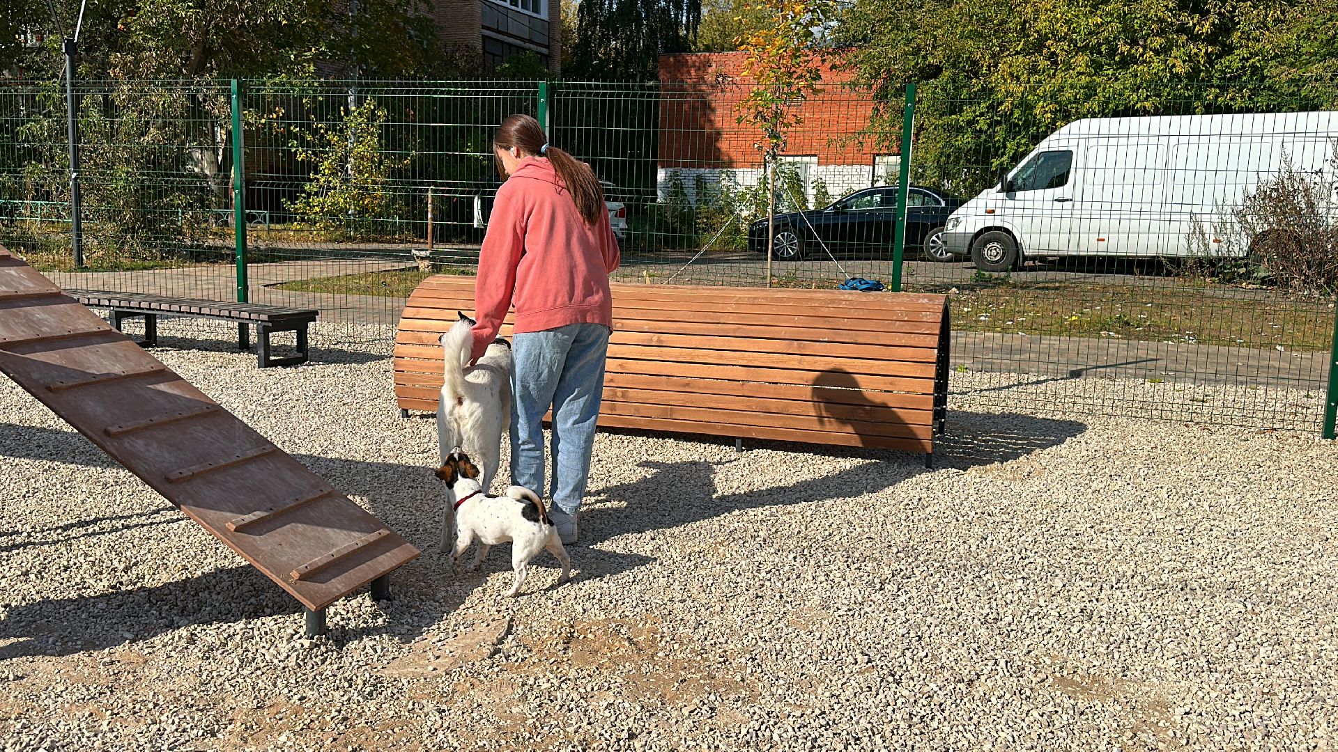 Одинцово, Благоустройство, Парки Подмосковья, Собаки,