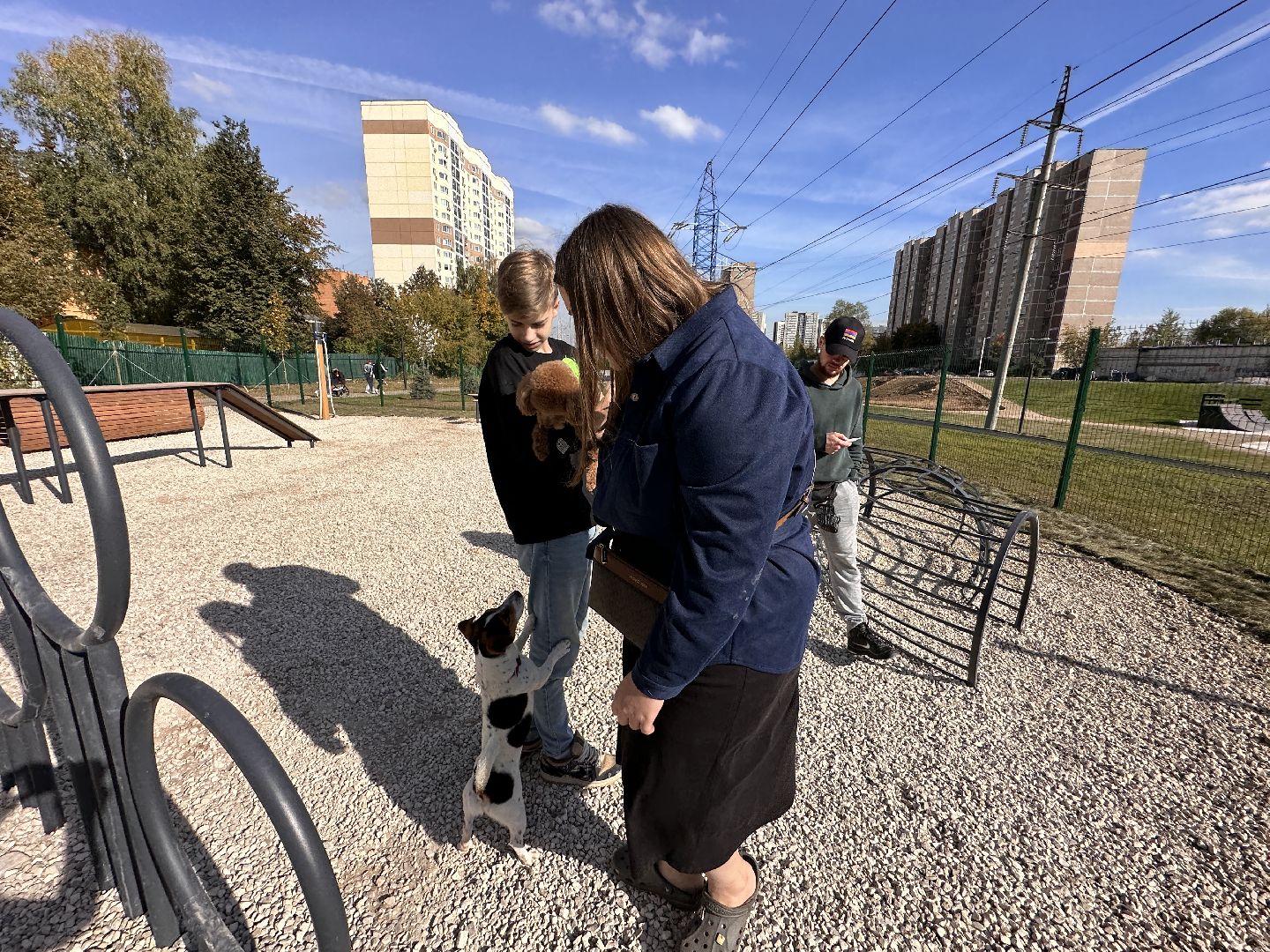 Одинцово, Благоустройство, Парки Подмосковья, Собаки,