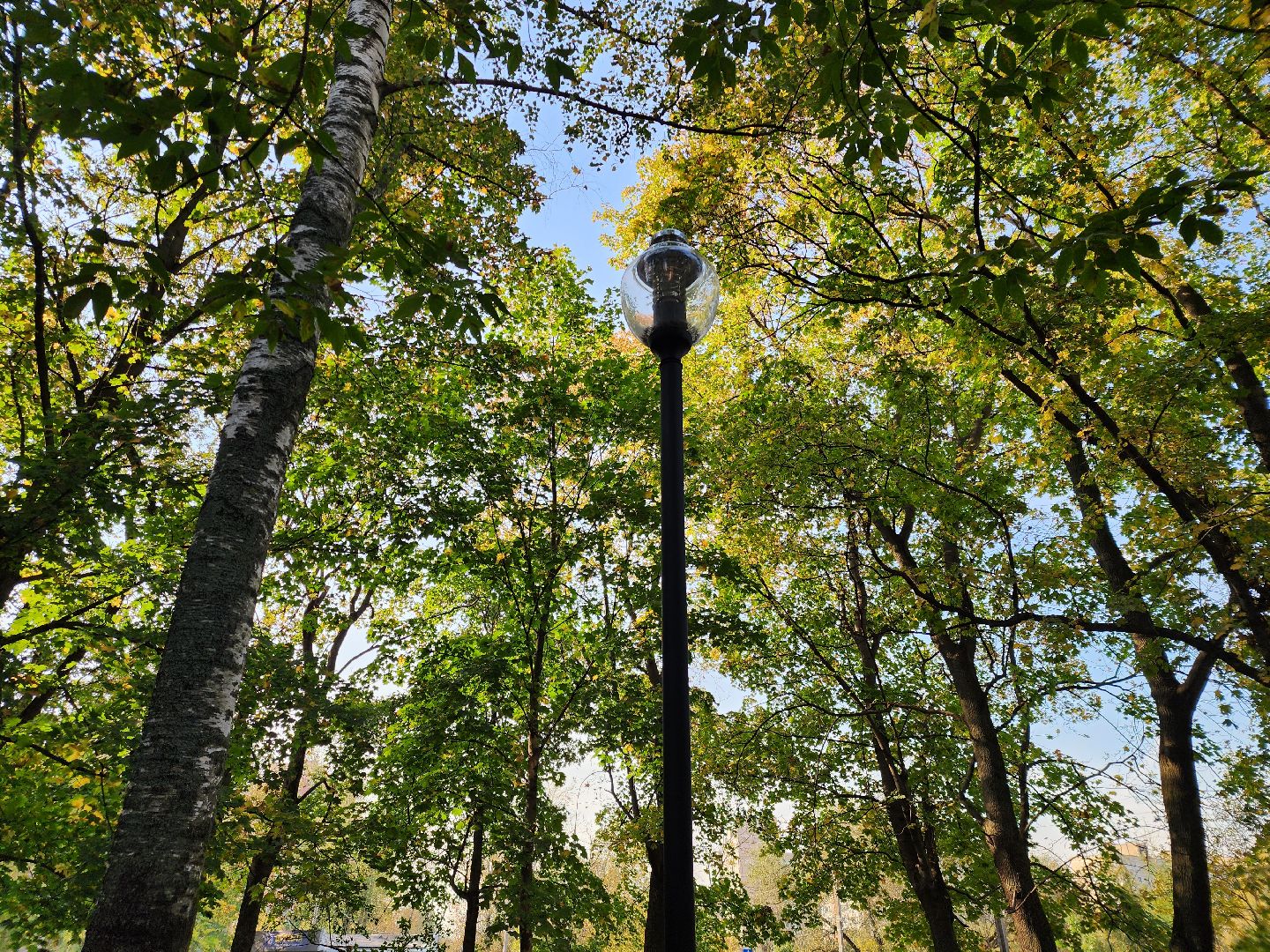 Уличное освещение, мытищи, Замена фонарей,