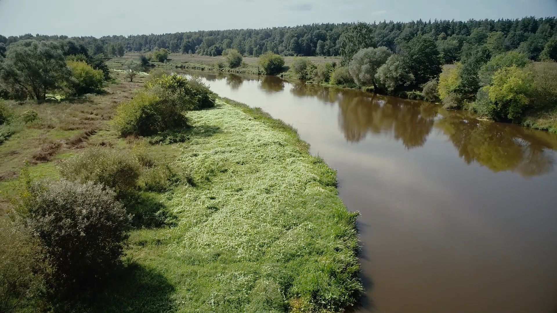 Легенды, сказка, царевна-лягушка, Орехово-Зуево,