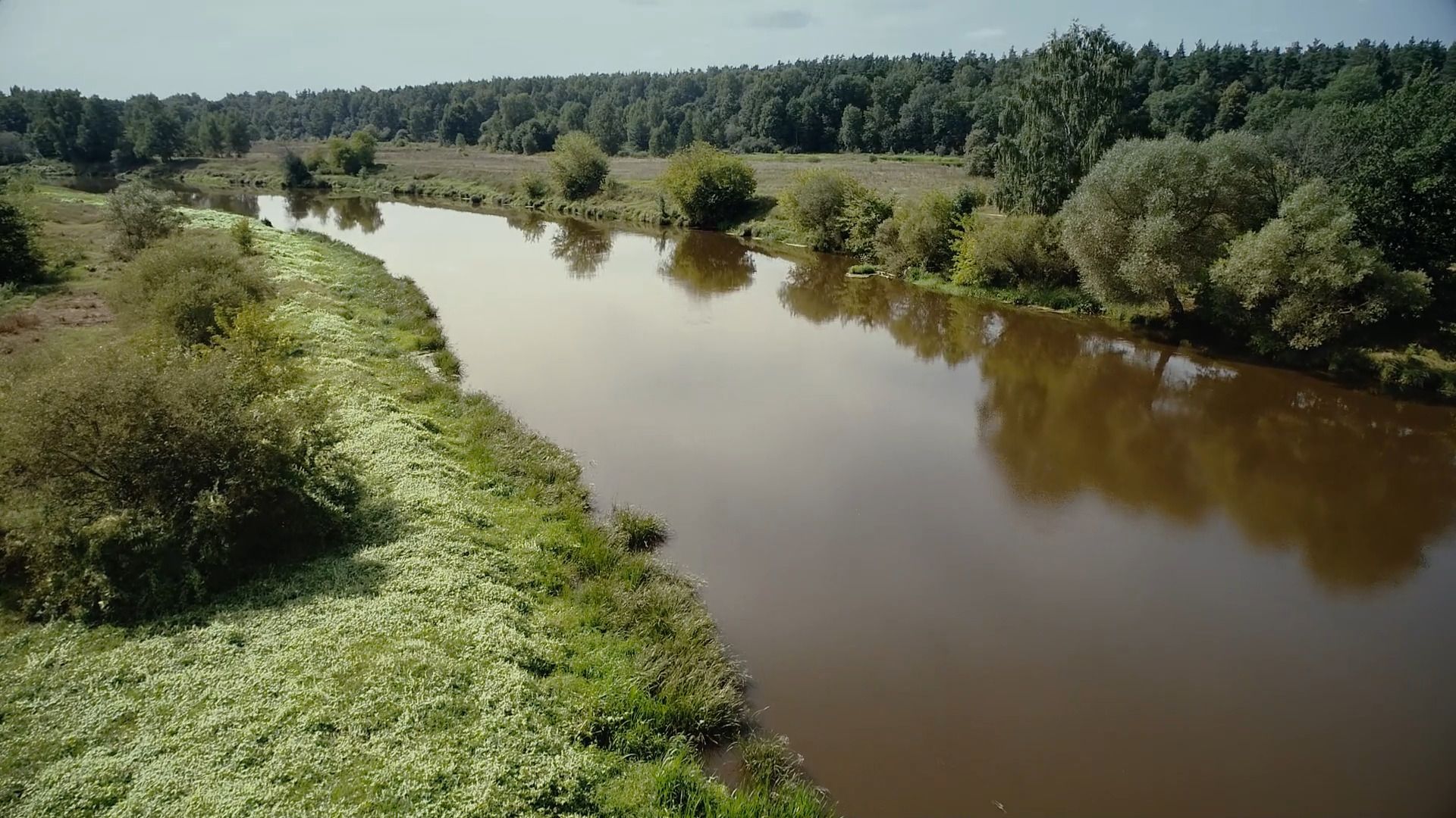 Легенды, сказка, царевна-лягушка, Орехово-Зуево,
