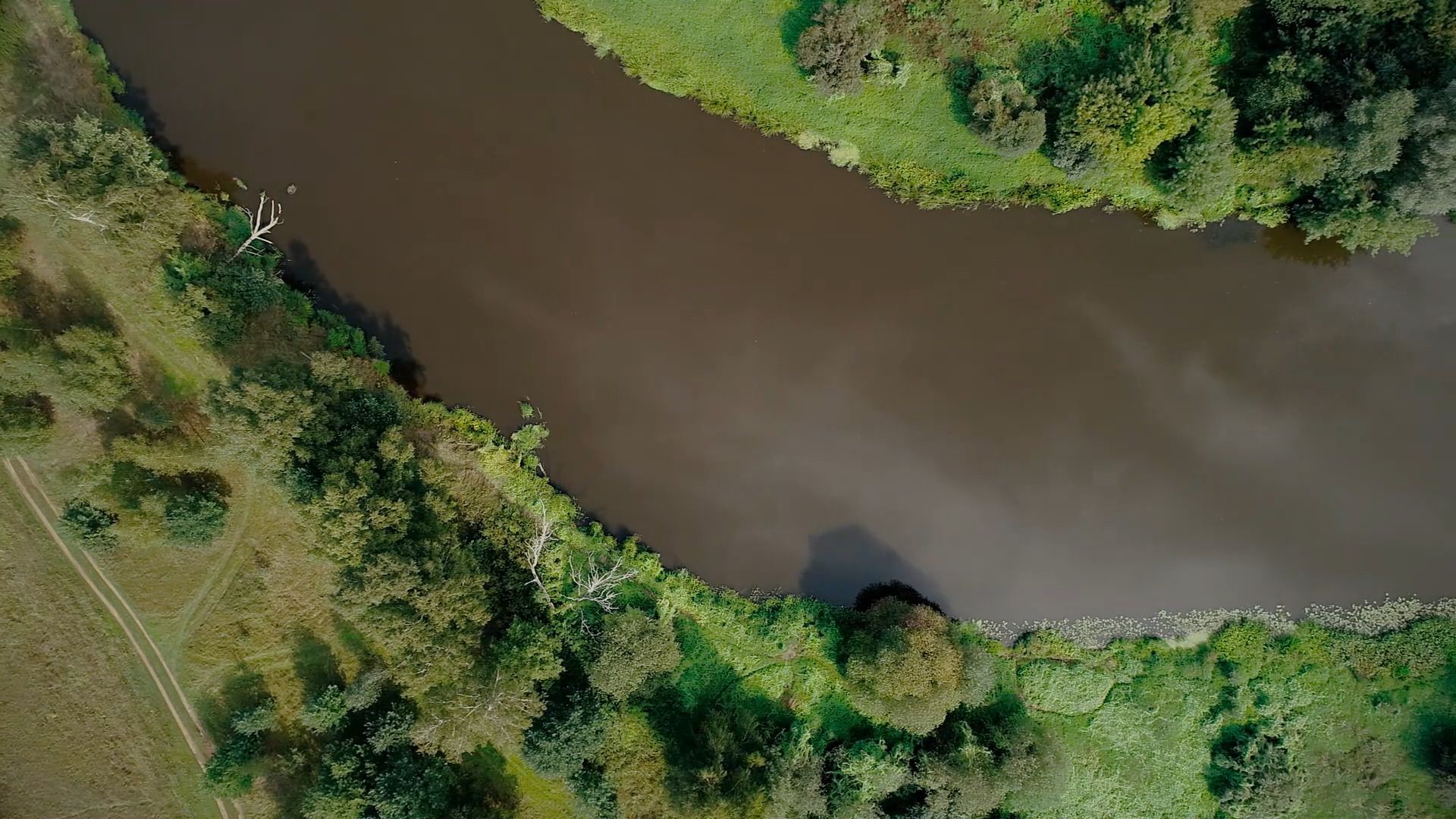 Легенды, сказка, царевна-лягушка, Орехово-Зуево,