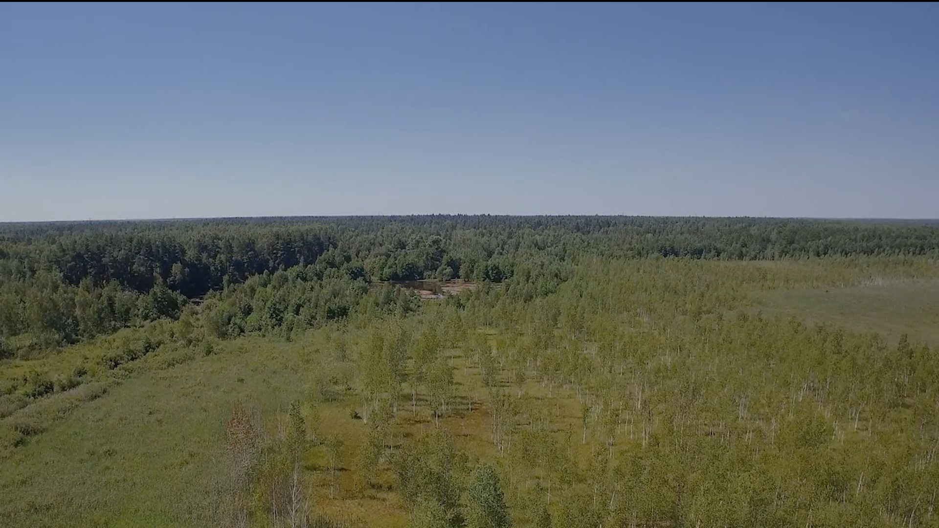 Легенды, сказка, царевна-лягушка, Орехово-Зуево,