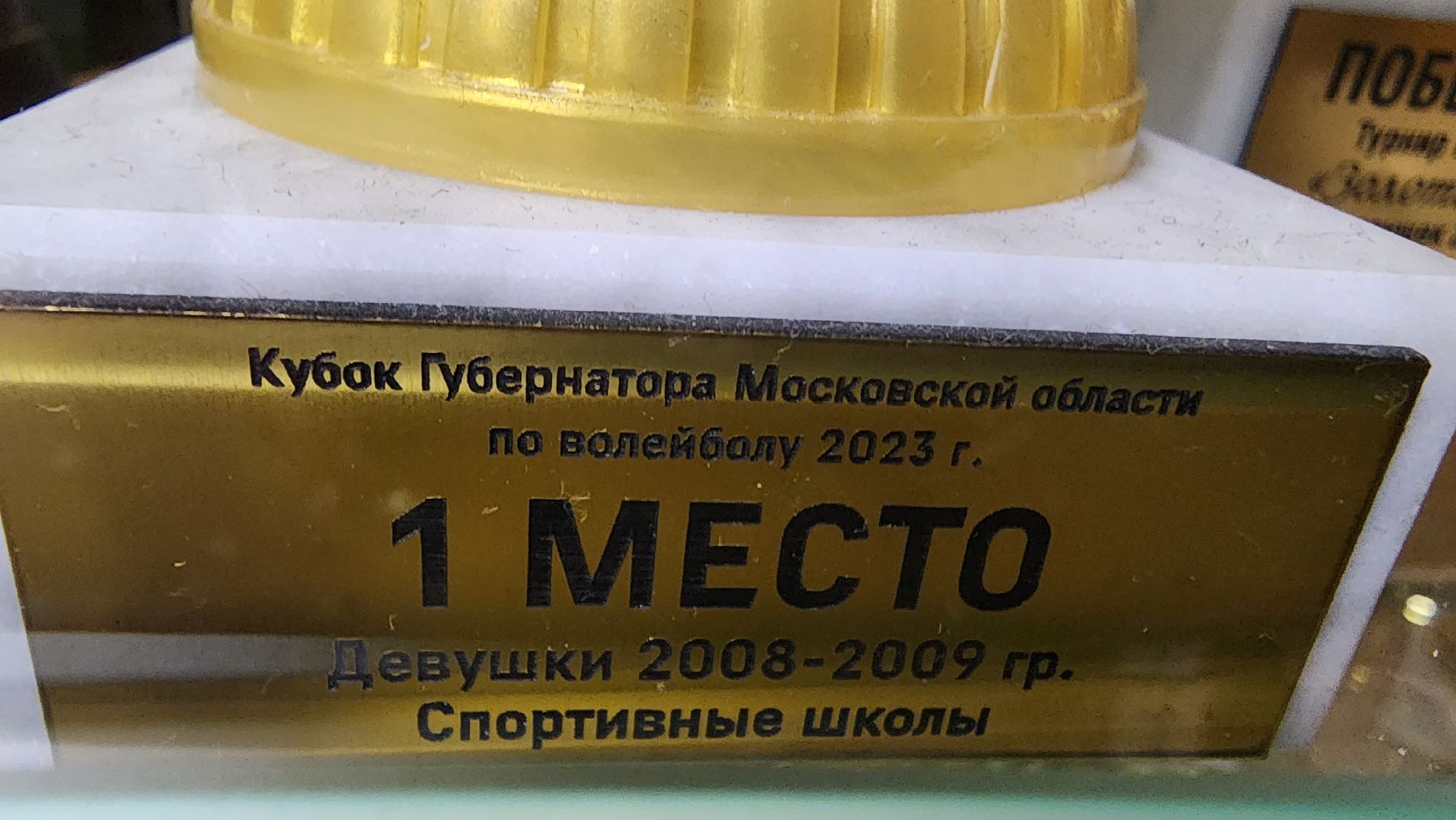 подмосковье, городской округ пушкинский, Ивантеевка, Спорт, волейбол, СШ Ивантеевка,