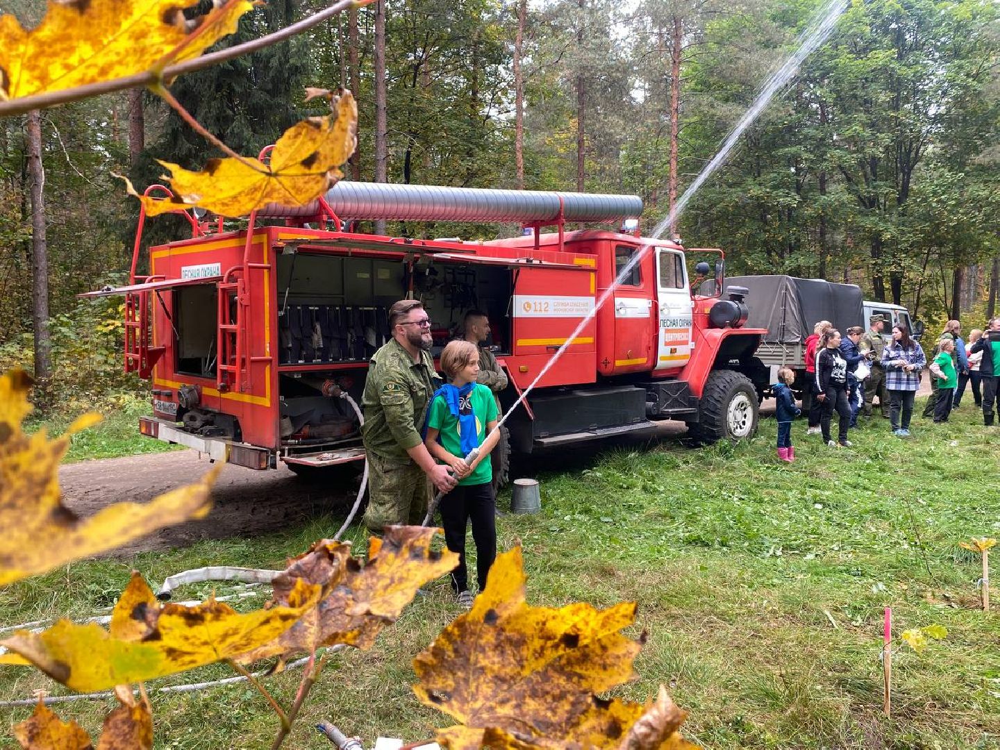школьноелесничество,
