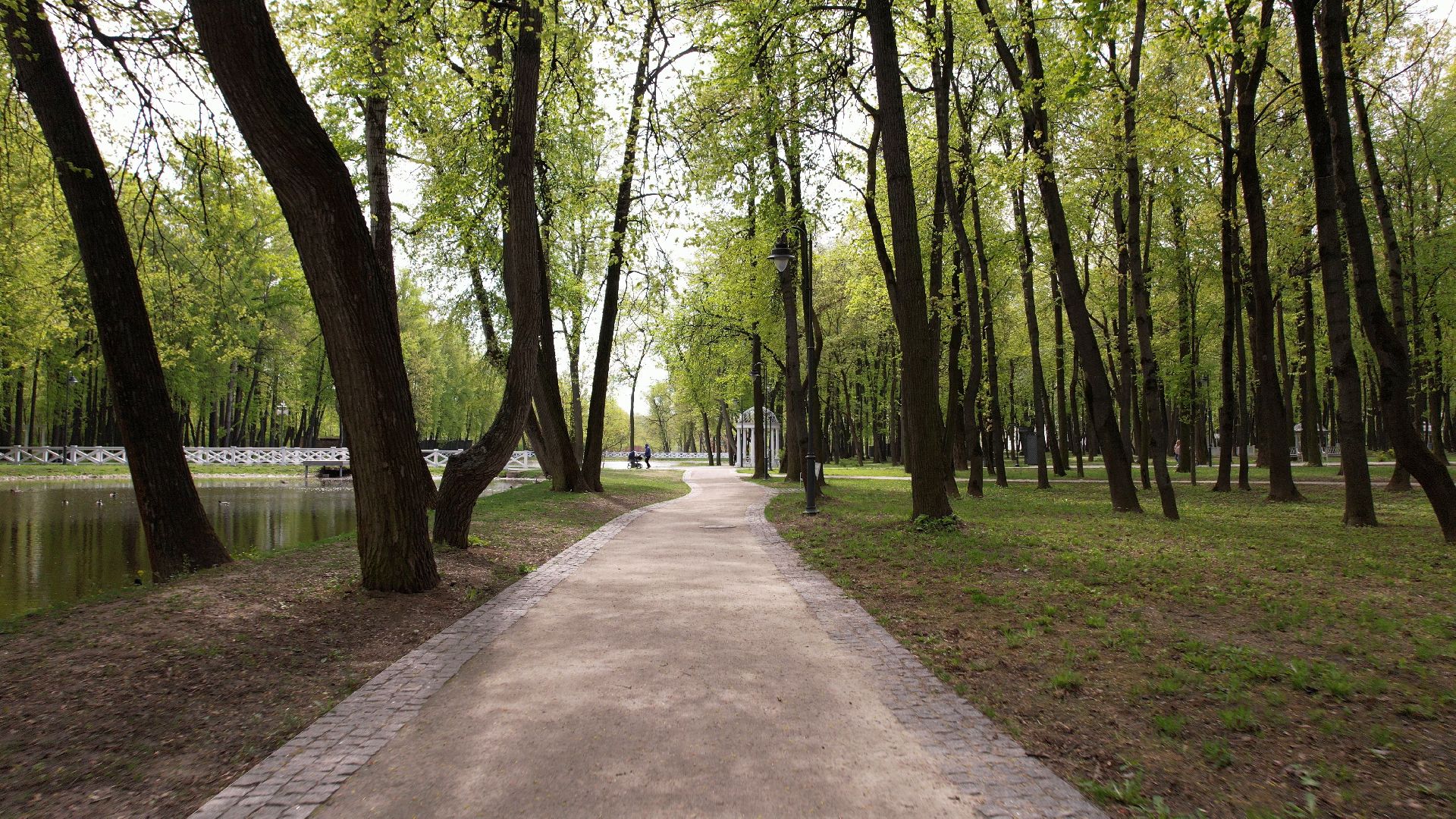 парк, кривякино, воскресенск,видео с коптера,