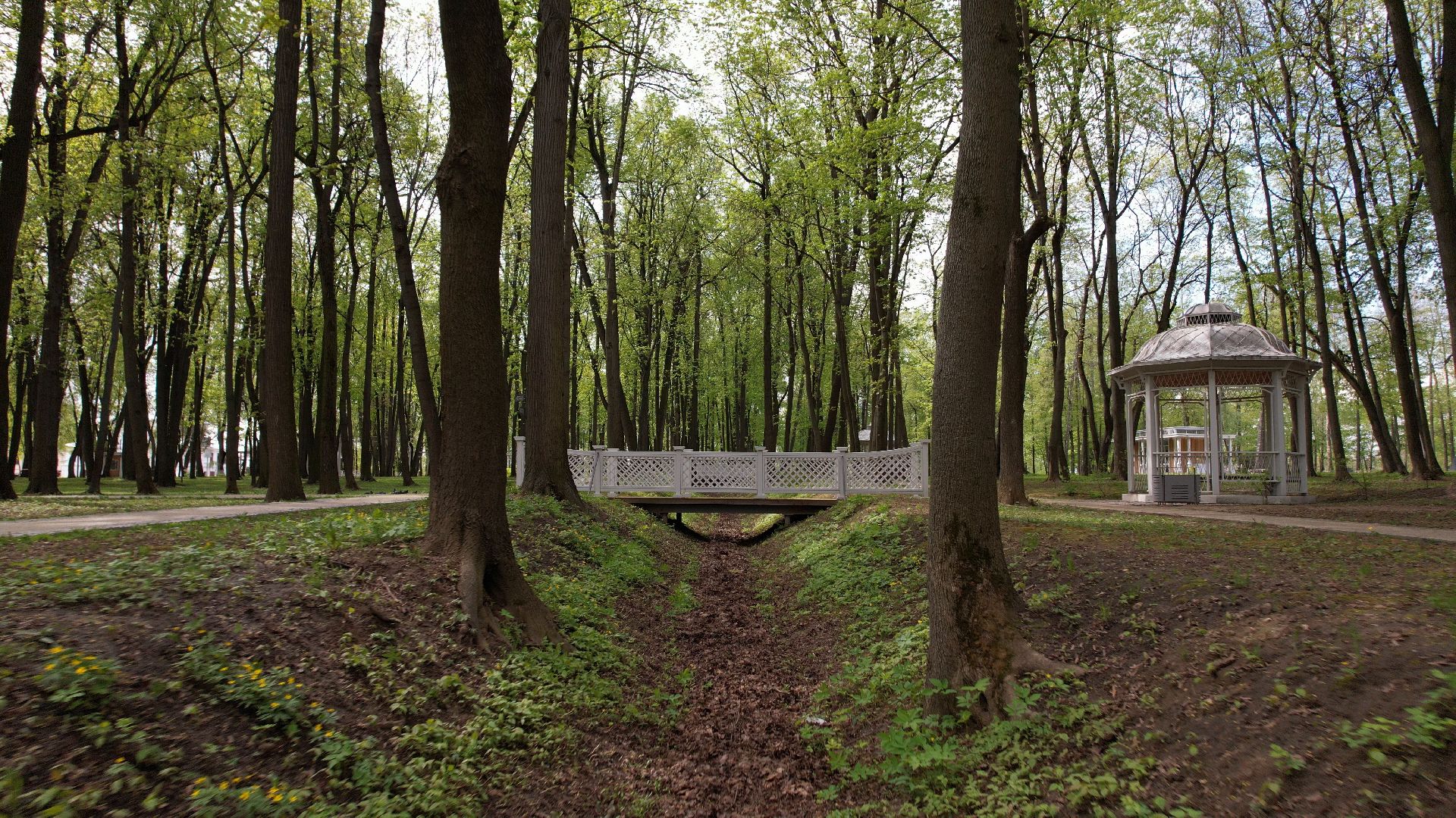 парк, кривякино, воскресенск,видео с коптера,