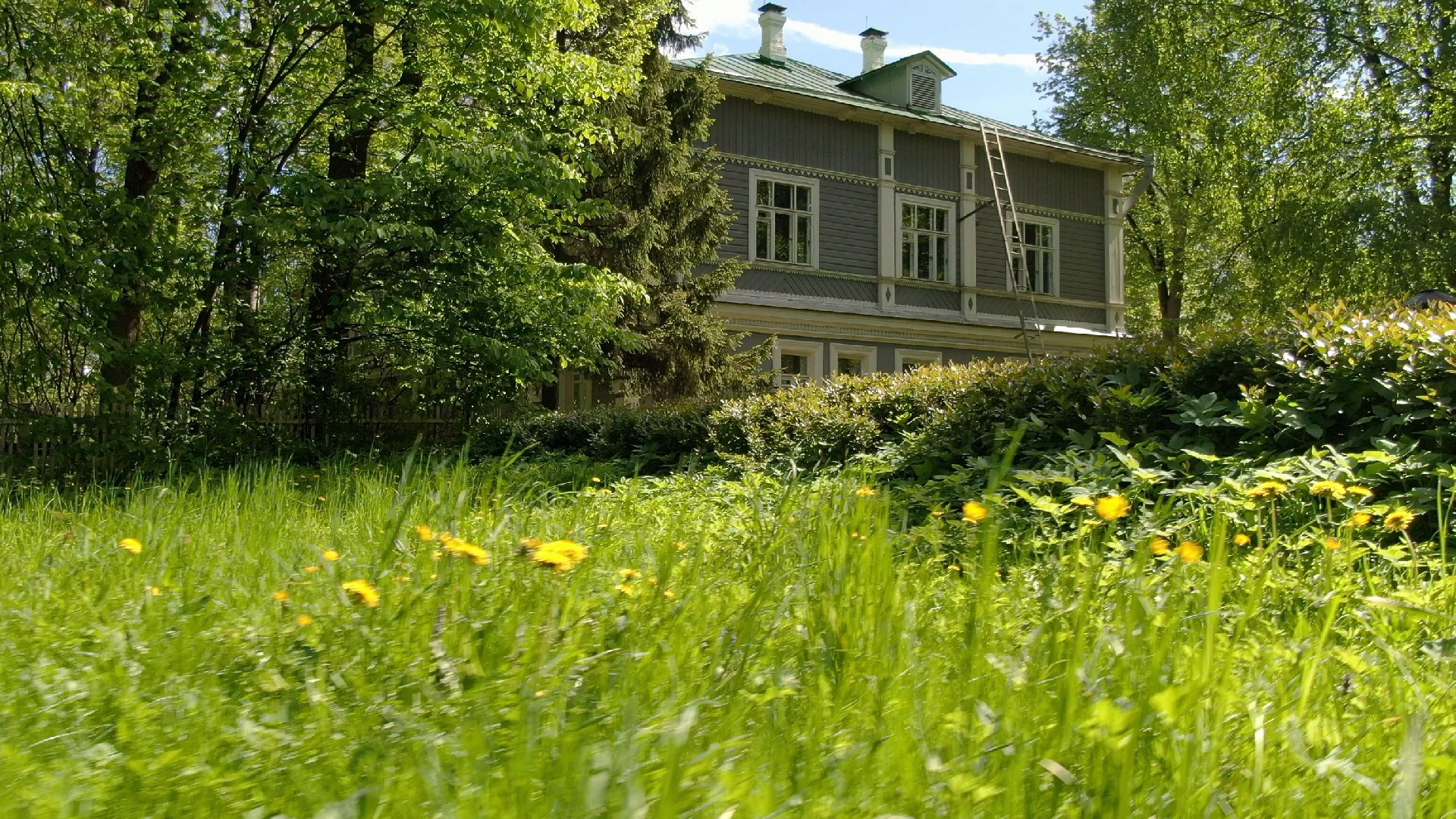 чайковский, клин, композитор,видео с коптера,