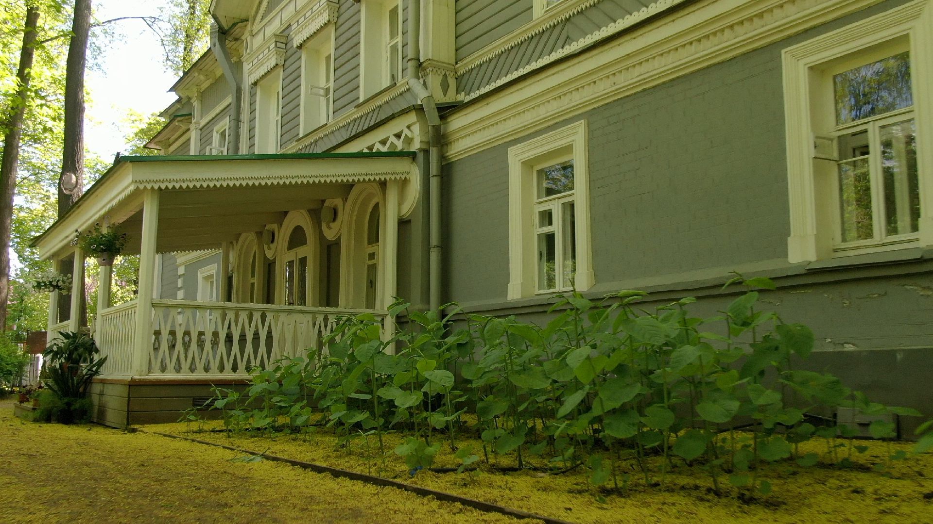 чайковский, клин, композитор,видео с коптера,