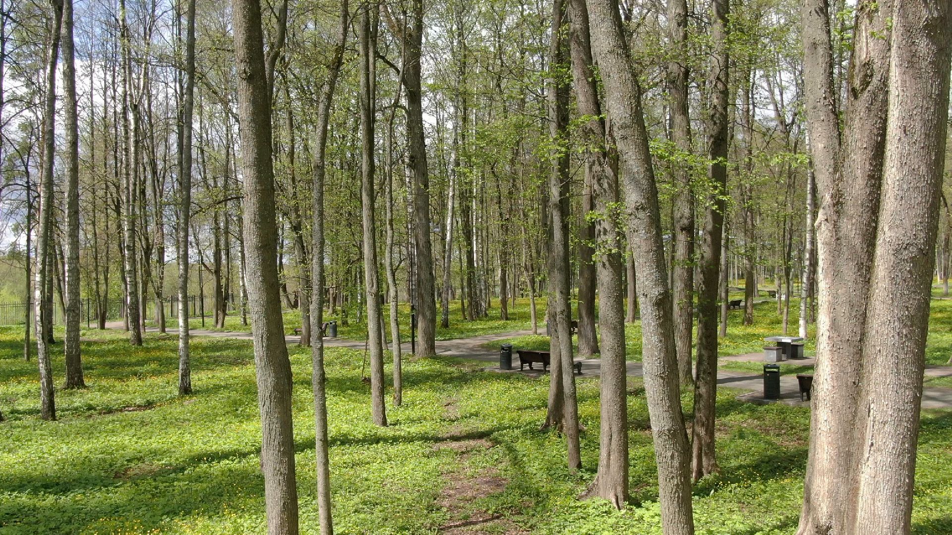 парк, наро-фоминск,видео с коптера,