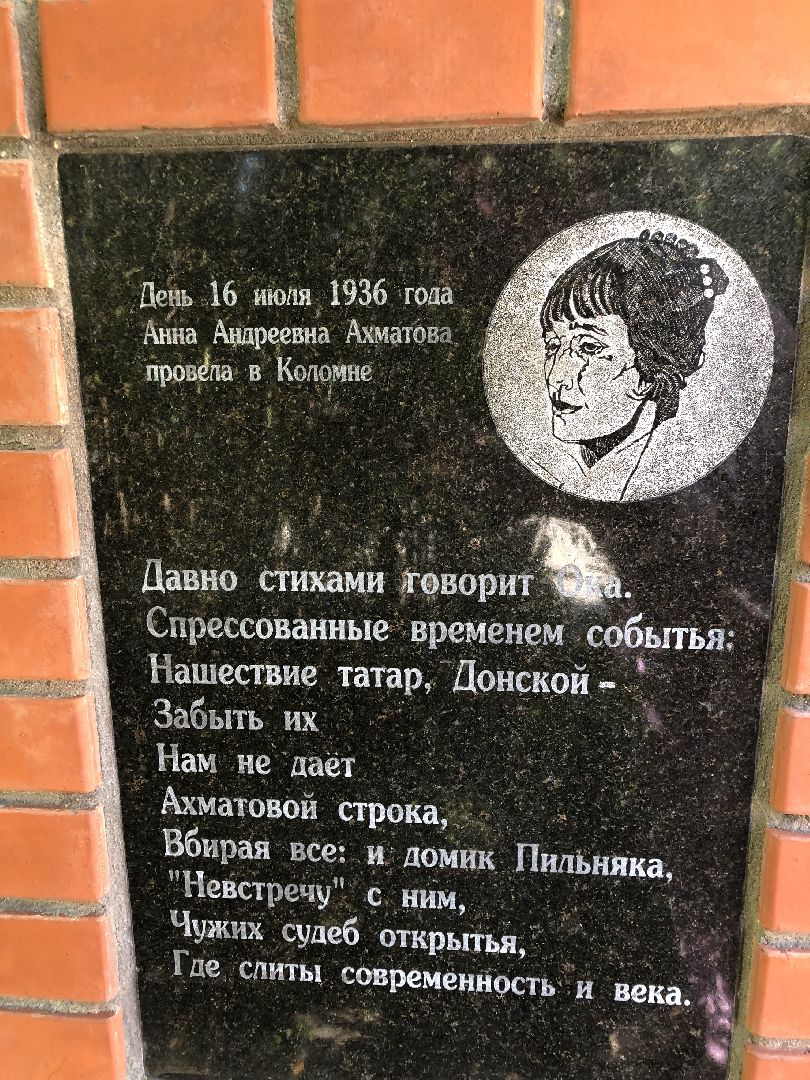 Коломна, культура, книги,