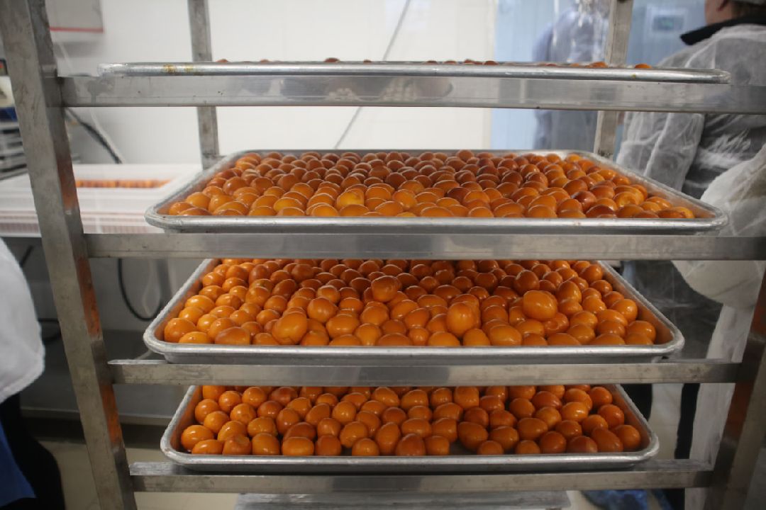 Пущино, Серпухов, Шепилово, Подмосковье, предприятие, минсельхоз, аграрии, сельское хозяйство, фермерство, перепела, птицеводство