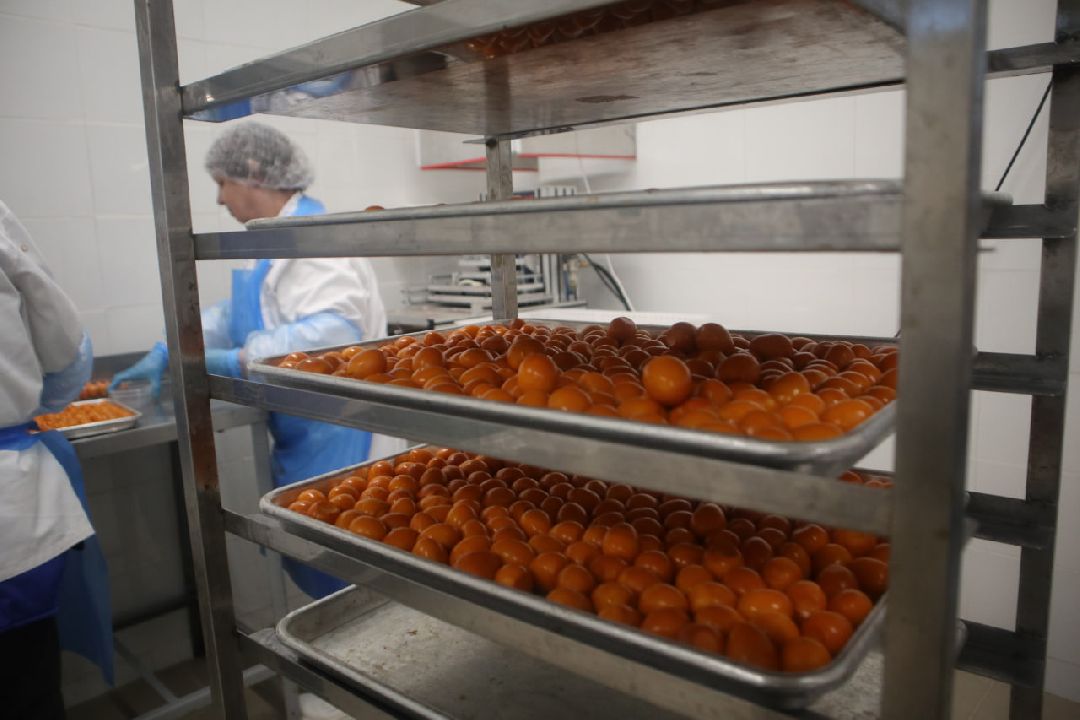 Пущино, Серпухов, Шепилово, Подмосковье, предприятие, минсельхоз, аграрии, сельское хозяйство, фермерство, перепела, птицеводство