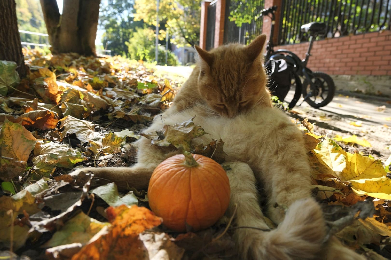 пущино, психология,