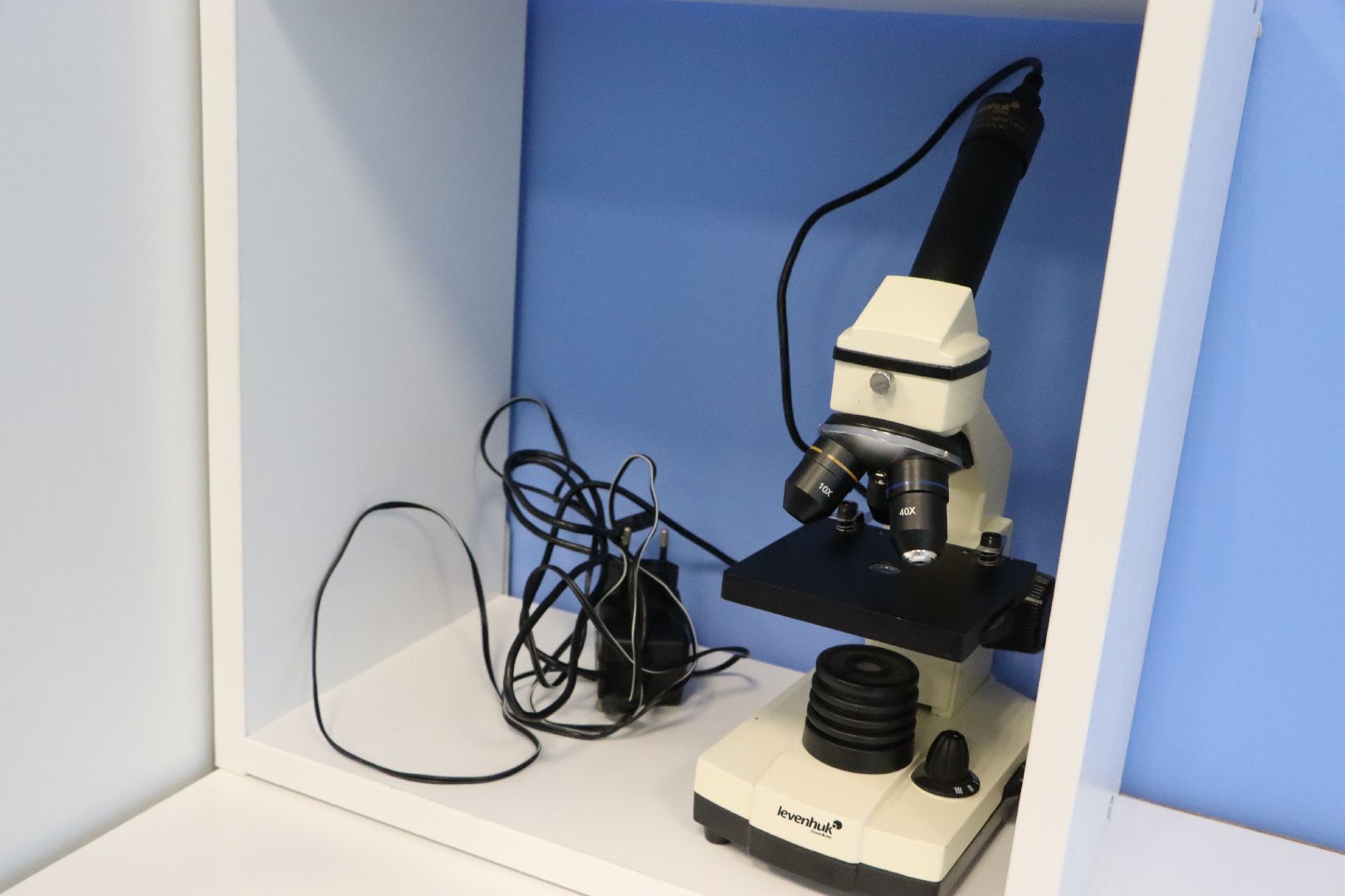 Серебряные Пруды, образование, село Крутое, витамин смеха, Точка роста,