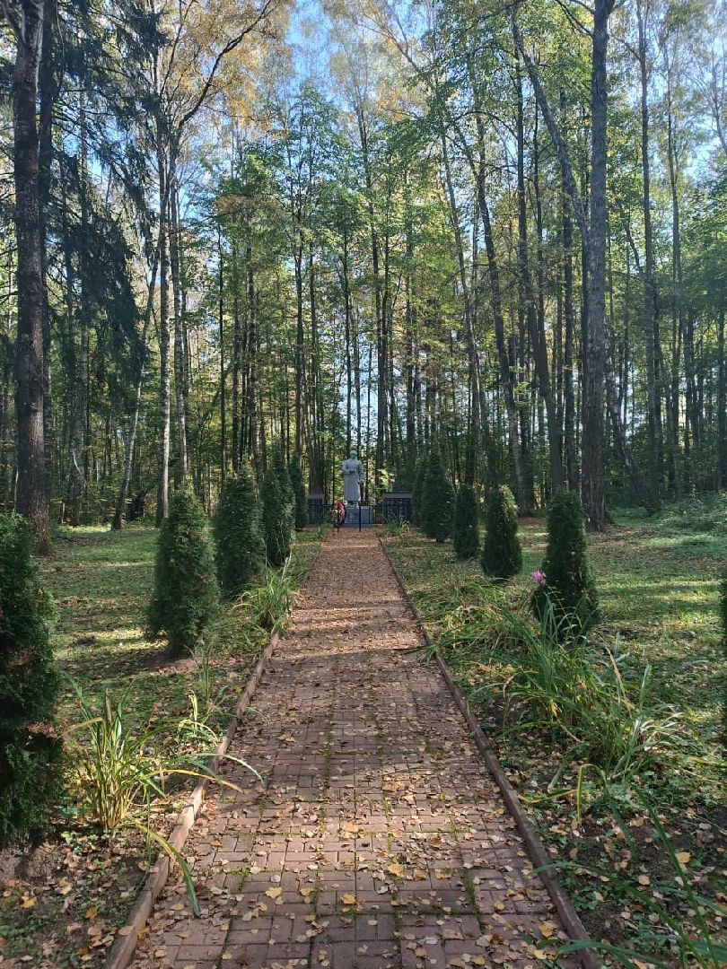 волоколамск, Усадьба Ботово, Издательский дом, Чудеса и приключения,