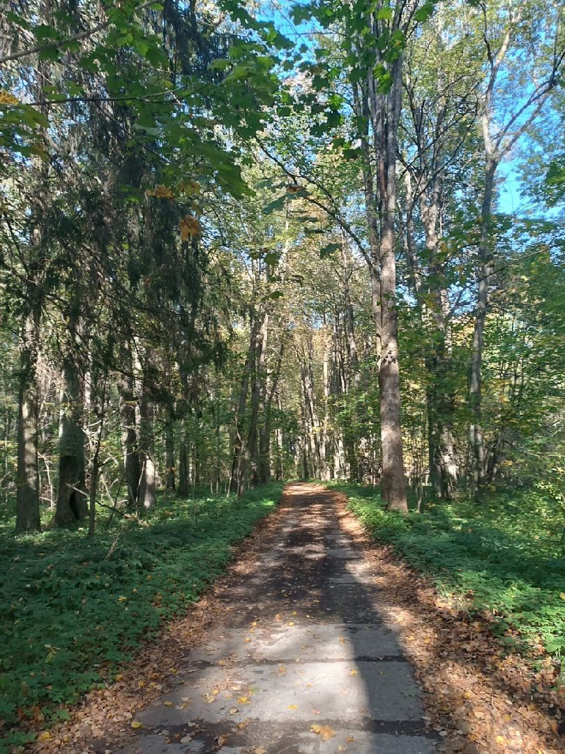 волоколамск, Усадьба Ботово, Издательский дом, Чудеса и приключения,