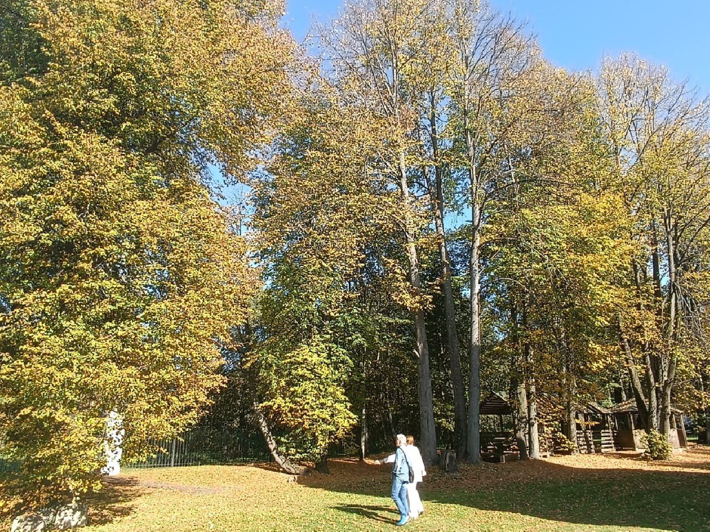 волоколамск, Усадьба Ботово, Издательский дом, Чудеса и приключения,