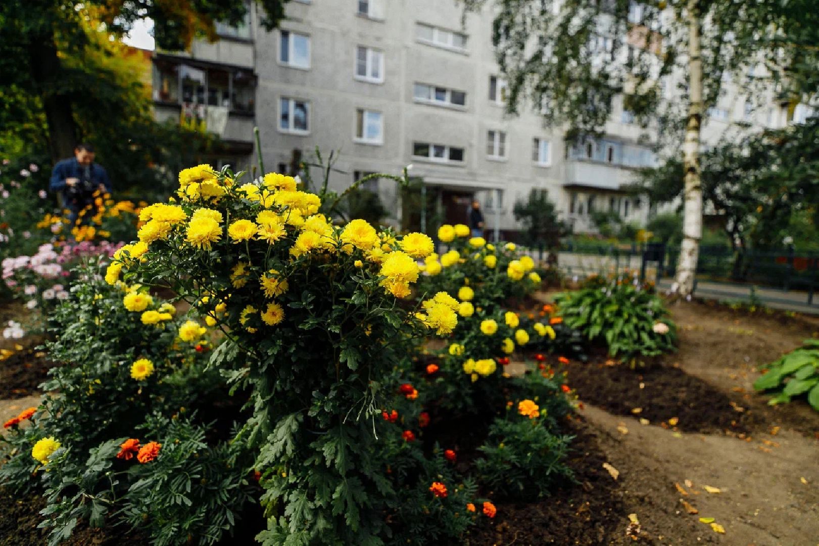 благоустройство, дворы, единая россия, конкурс, орехово-зуево, куровское,