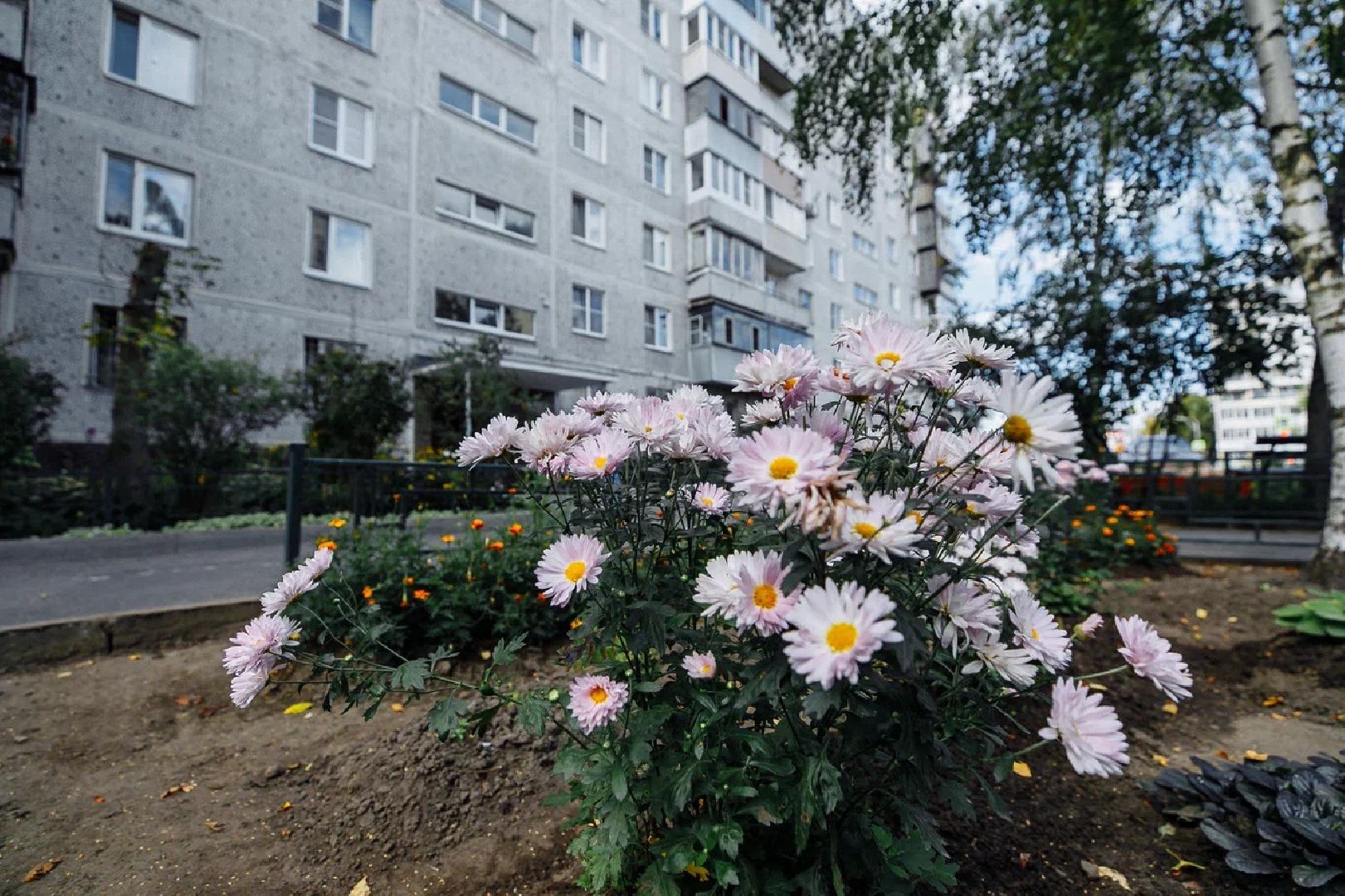 благоустройство, дворы, единая россия, конкурс, орехово-зуево, куровское,