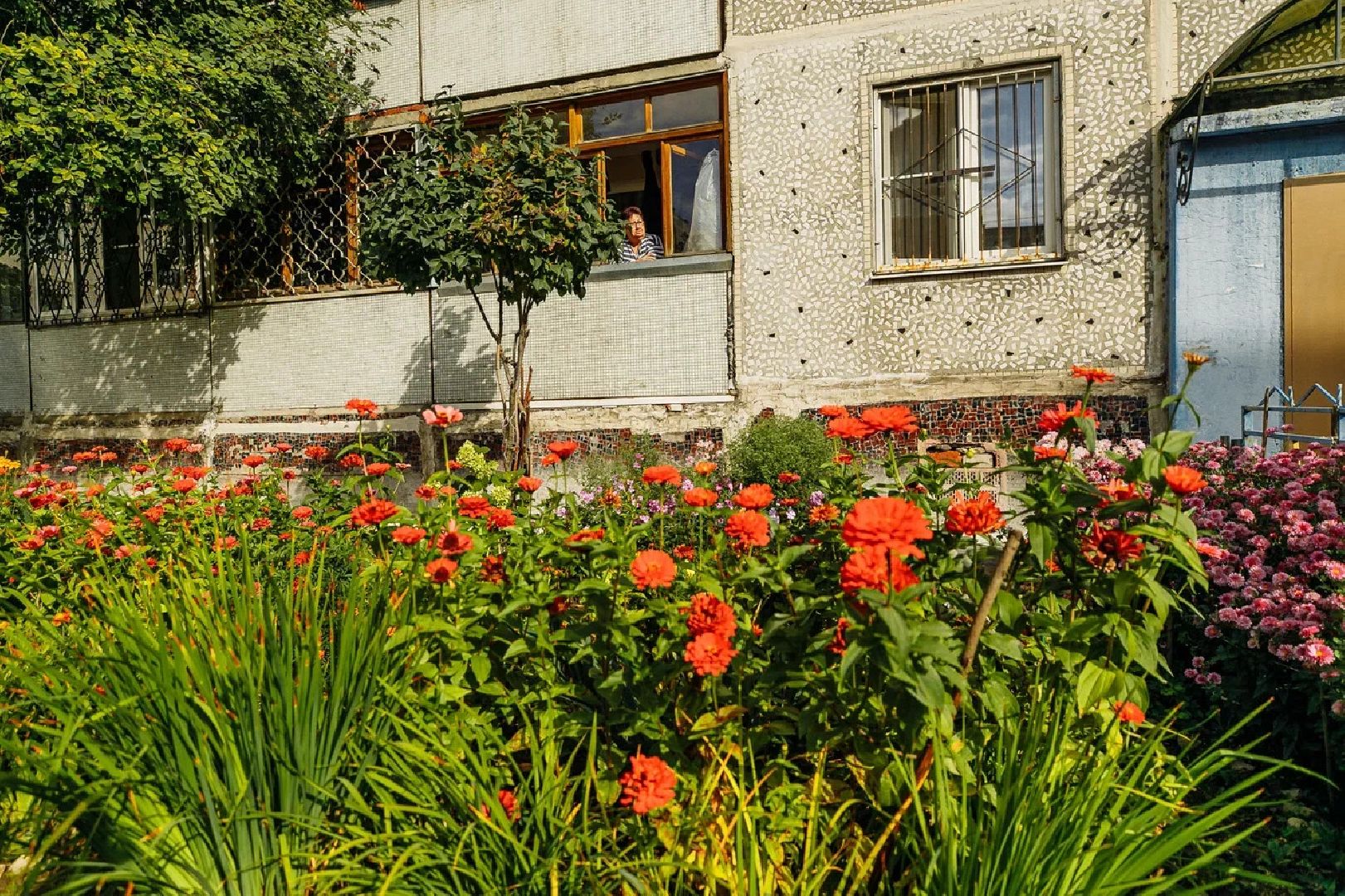 благоустройство, дворы, единая россия, конкурс, орехово-зуево, куровское,