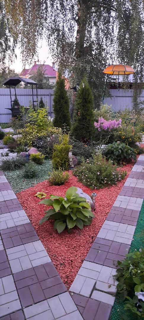 волоколамск, садовник, учитель, дети, школа, растения,