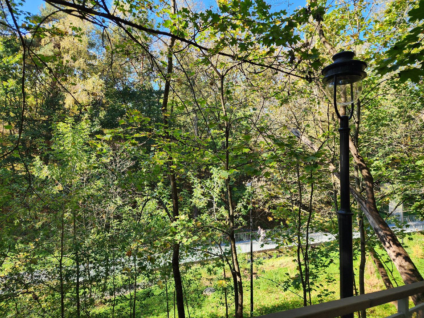 Звенигород, Благоустройство, Малиновый овраг, Прогулочная зона Звенигорода,