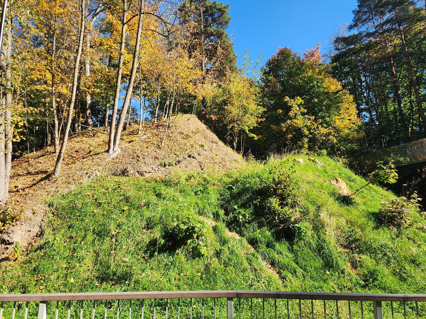Звенигород, Благоустройство, Малиновый овраг, Прогулочная зона Звенигорода,