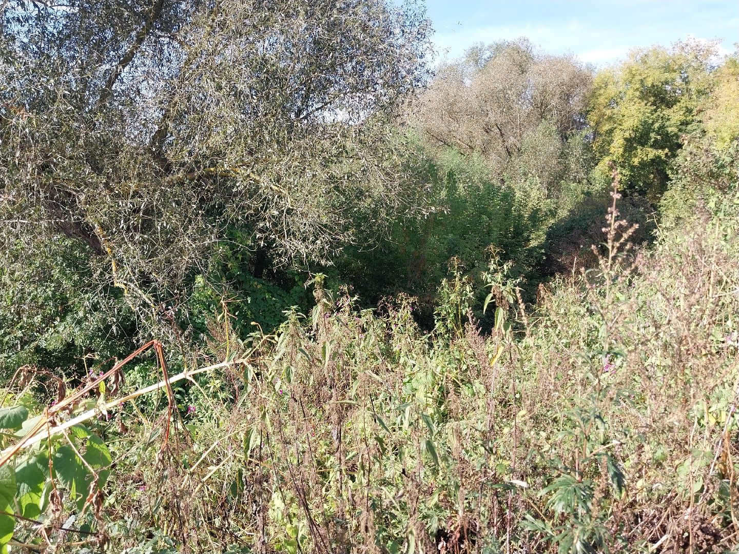 Коломна, история, легенды, Исторические легенды, Краеведение,