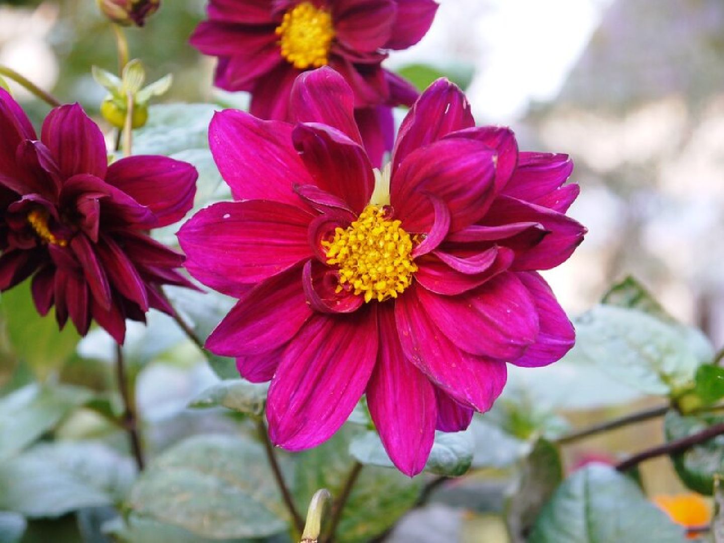 Звенигород, Медицина, Психология, Осенняя депрессия, Профилактика,