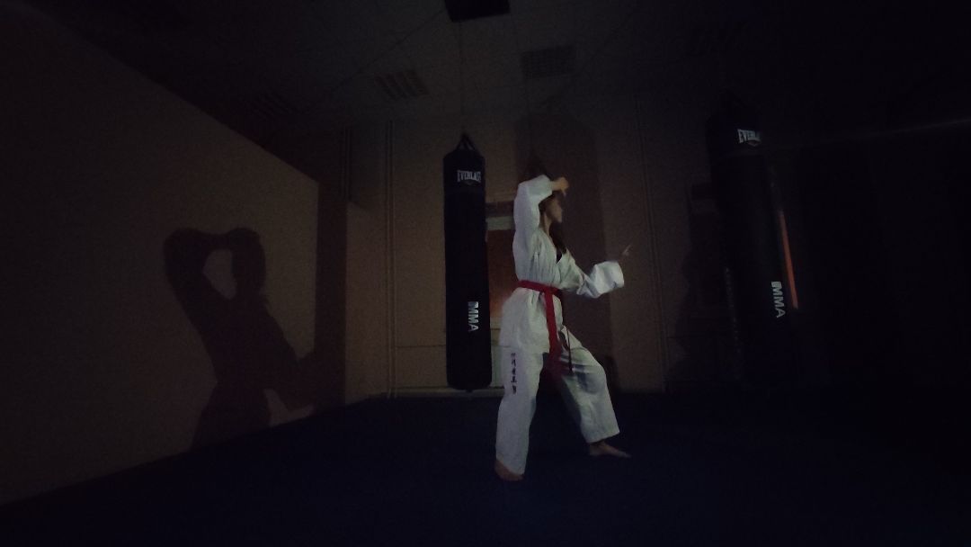 спорт, Лобня, тхэквондо