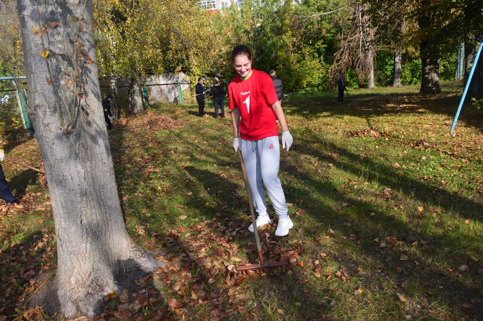 шатура, движение первых, волонтеры подмосковья, субботник, акция,