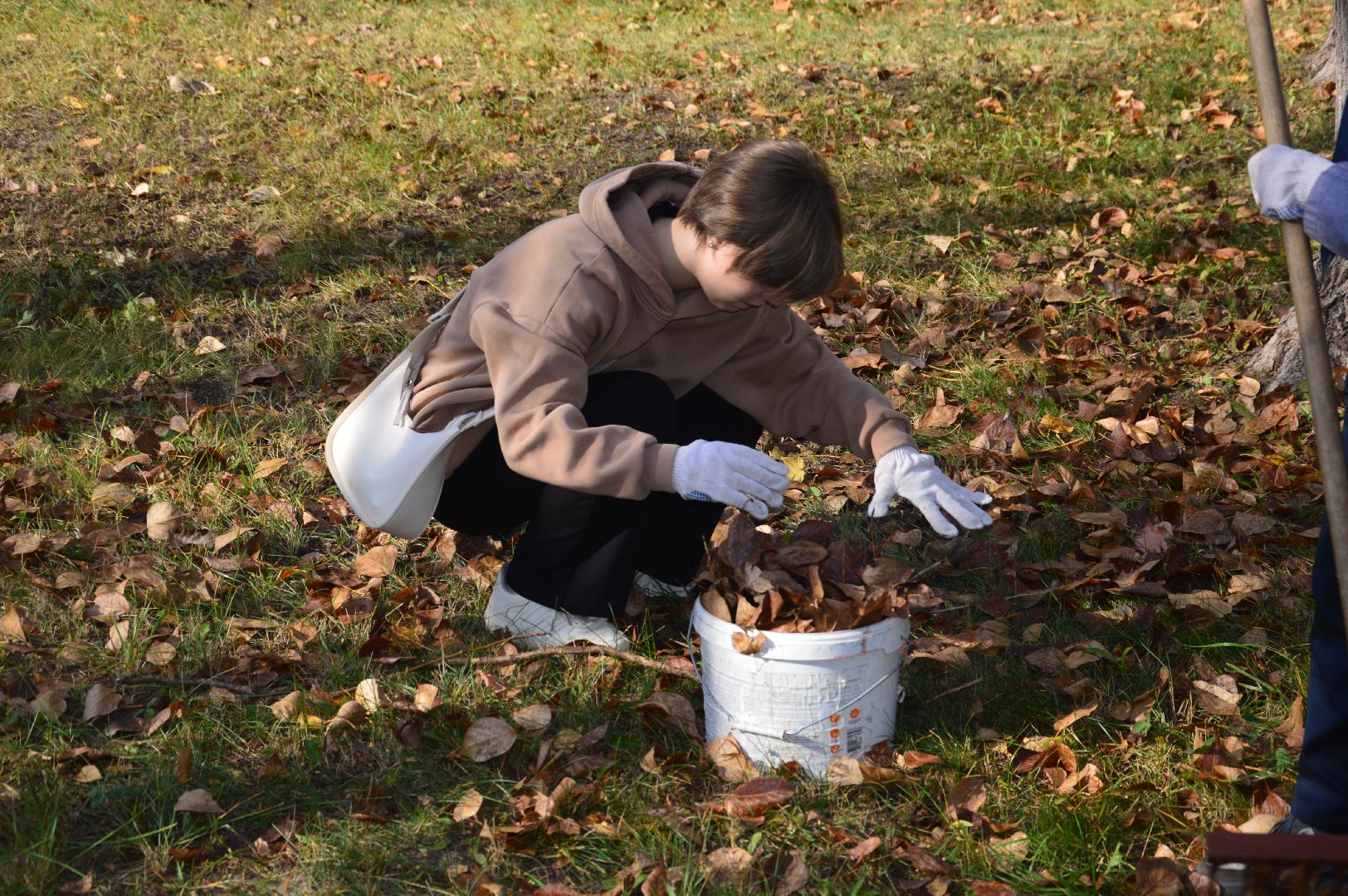 шатура, движение первых, волонтеры подмосковья, субботник, акция,