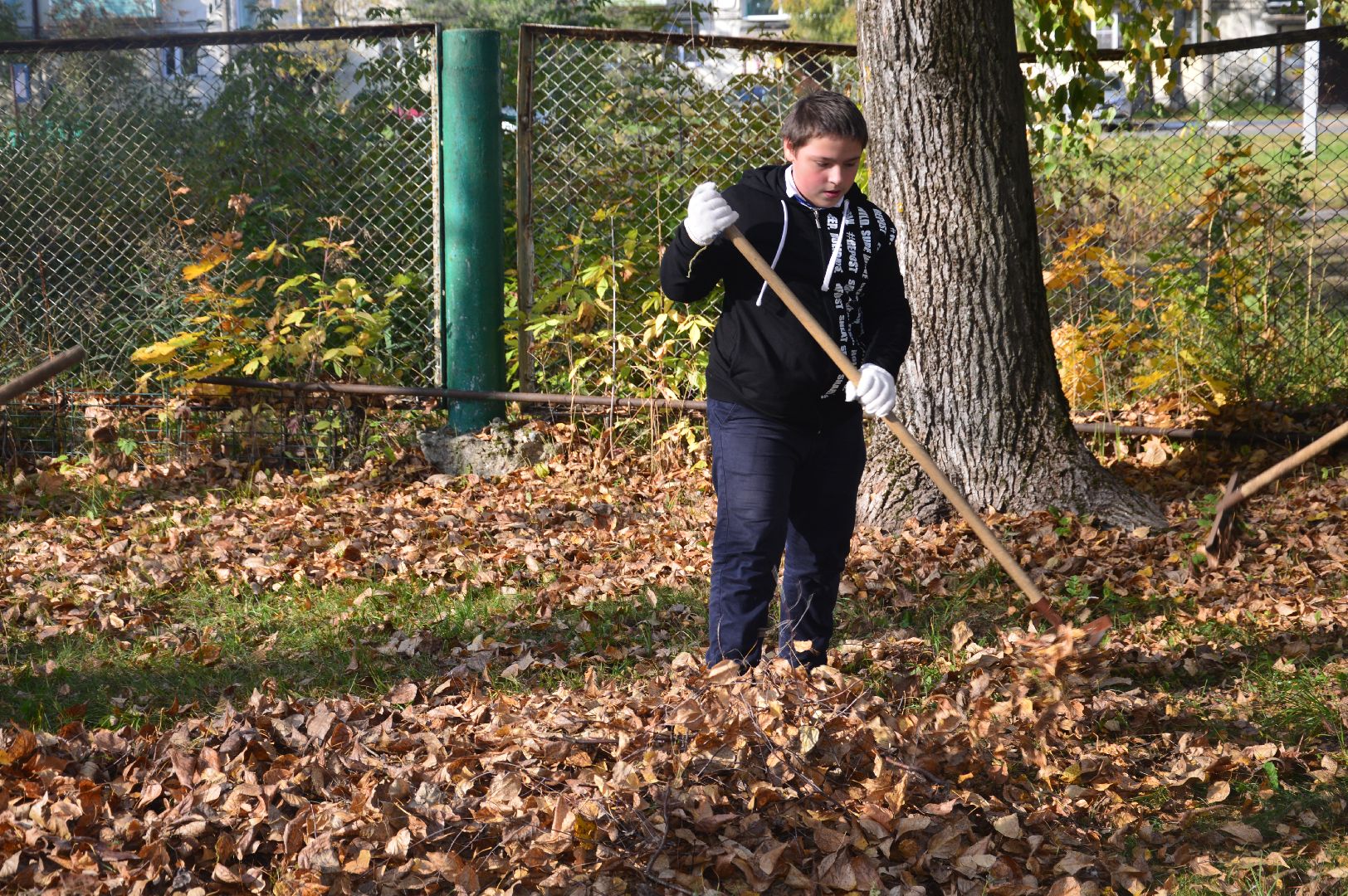 шатура, движение первых, волонтеры подмосковья, субботник, акция,