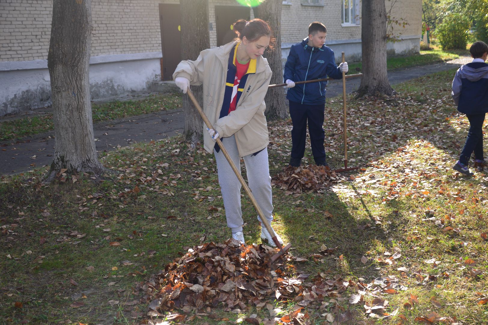 шатура, движение первых, волонтеры подмосковья, субботник, акция,