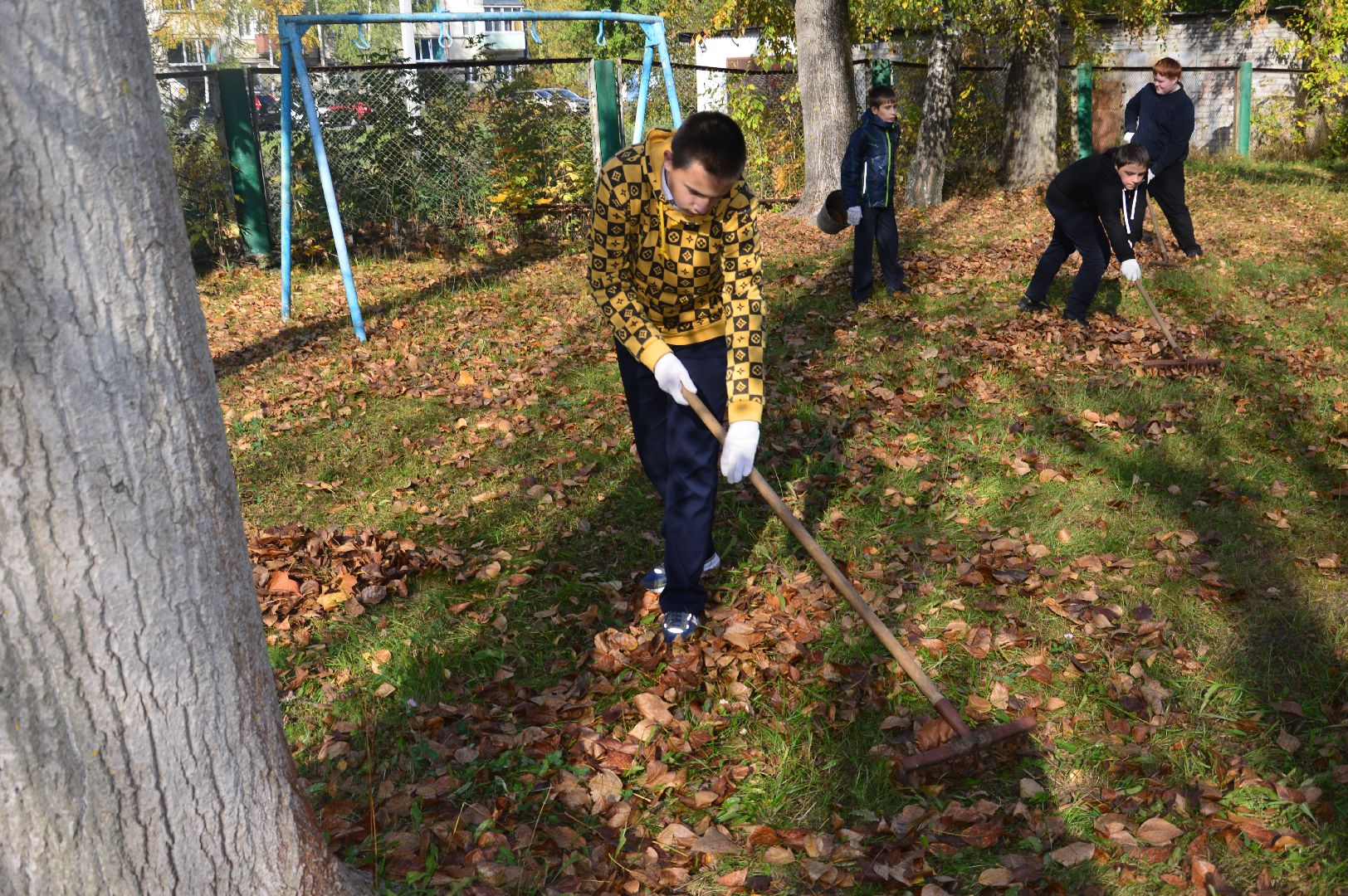 шатура, движение первых, волонтеры подмосковья, субботник, акция,