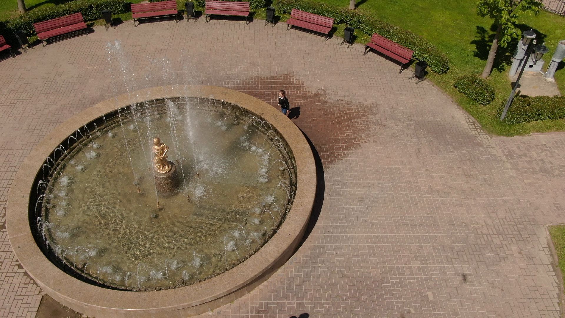 скульптура, грибница, клин,видео с коптера,