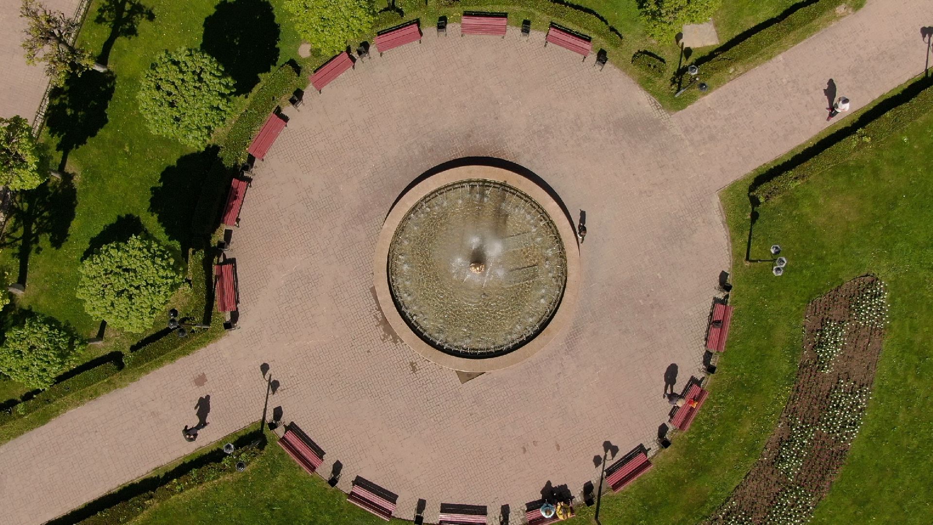 скульптура, грибница, клин,видео с коптера,