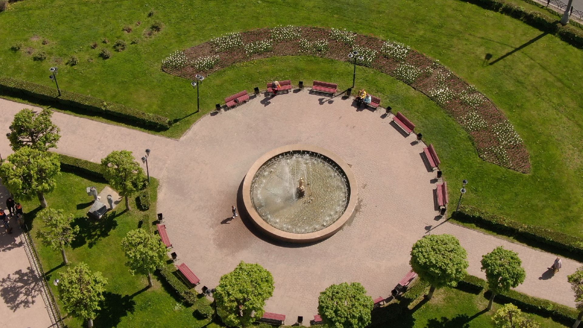 скульптура, грибница, клин,видео с коптера,