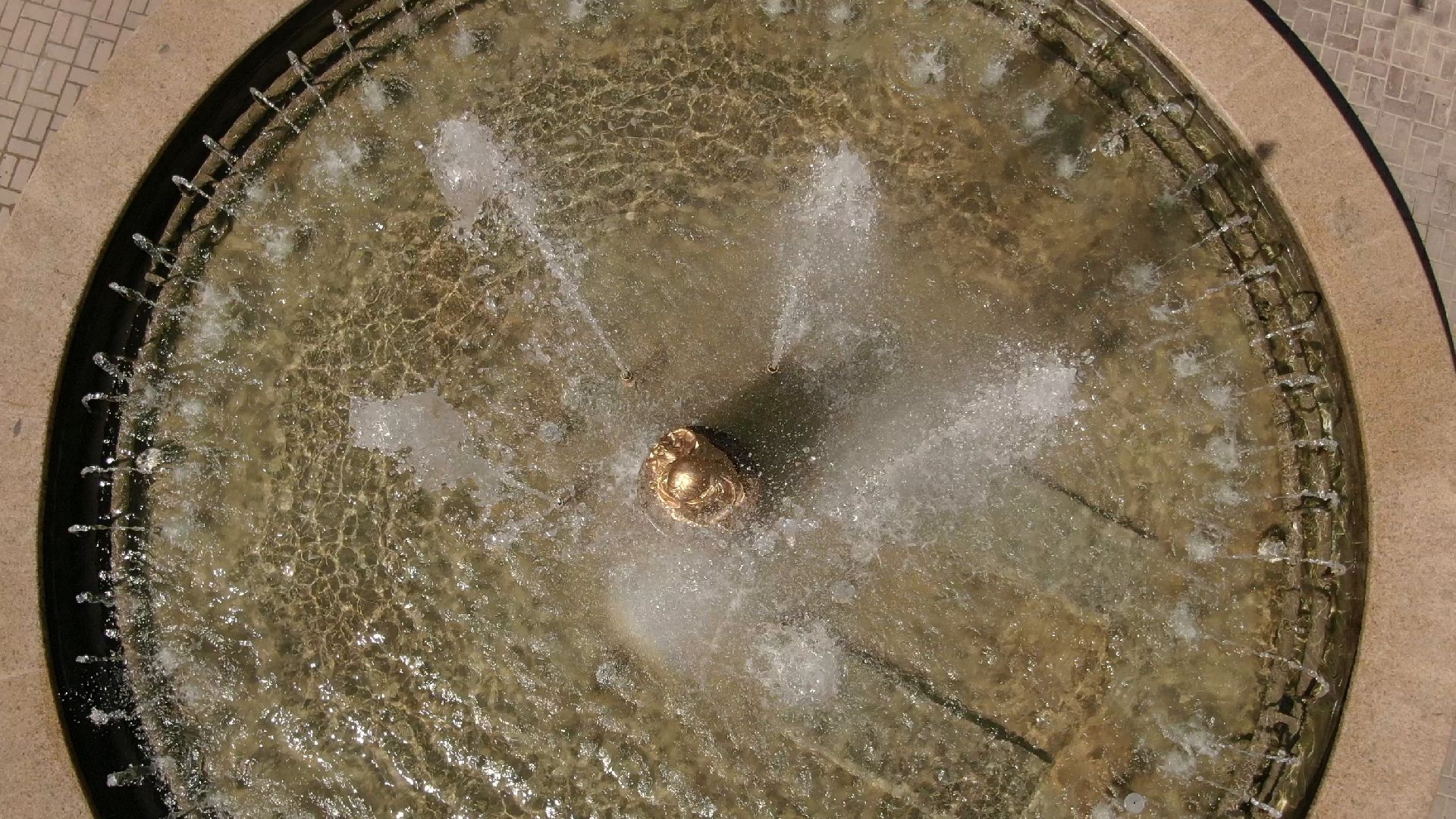 скульптура, грибница, клин,видео с коптера,