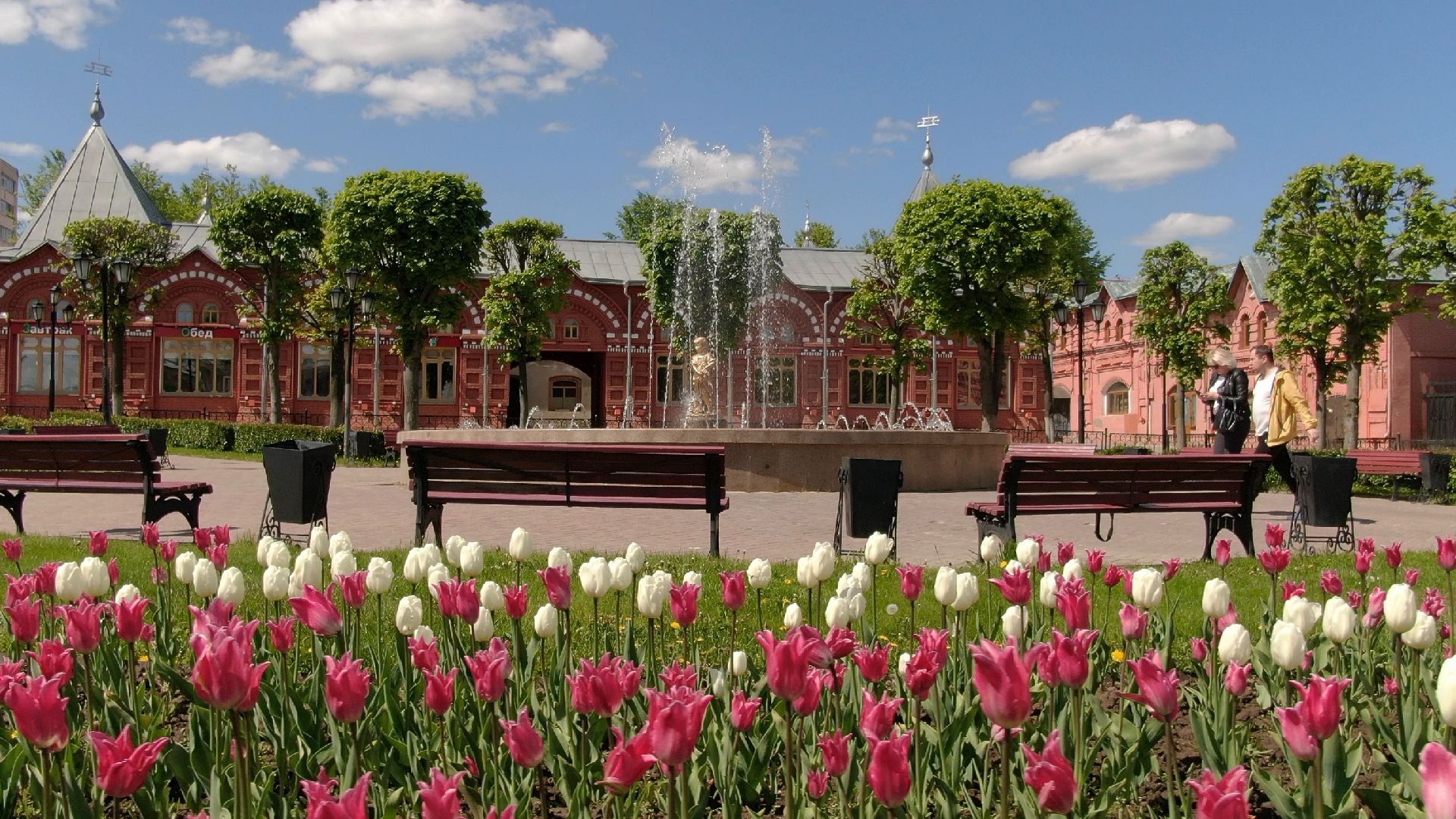 скульптура, грибница, клин,видео с коптера,