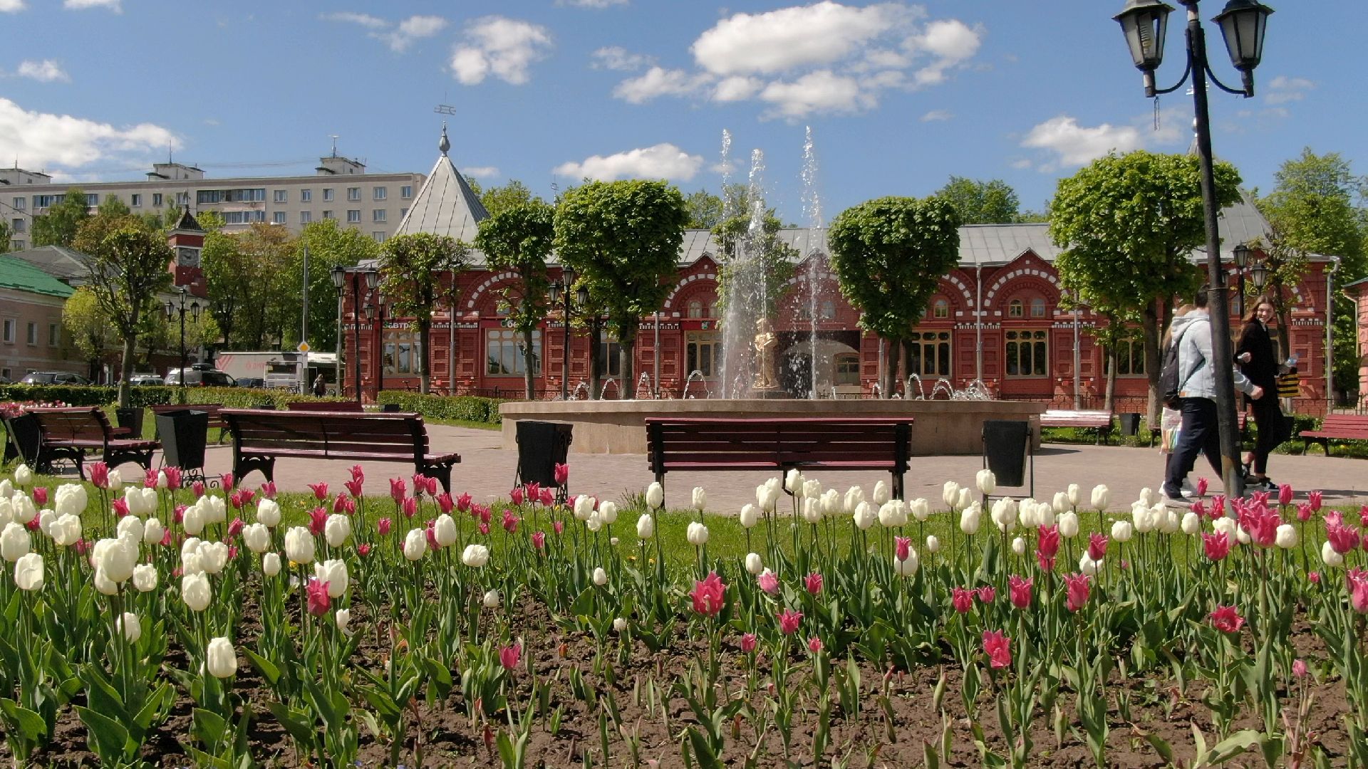 скульптура, грибница, клин,видео с коптера,