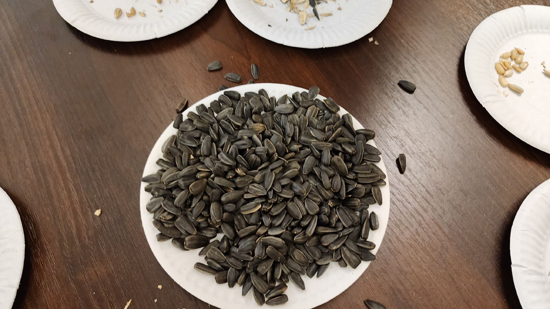 активное долголетие, видное, активности, мисс щелкунчик,