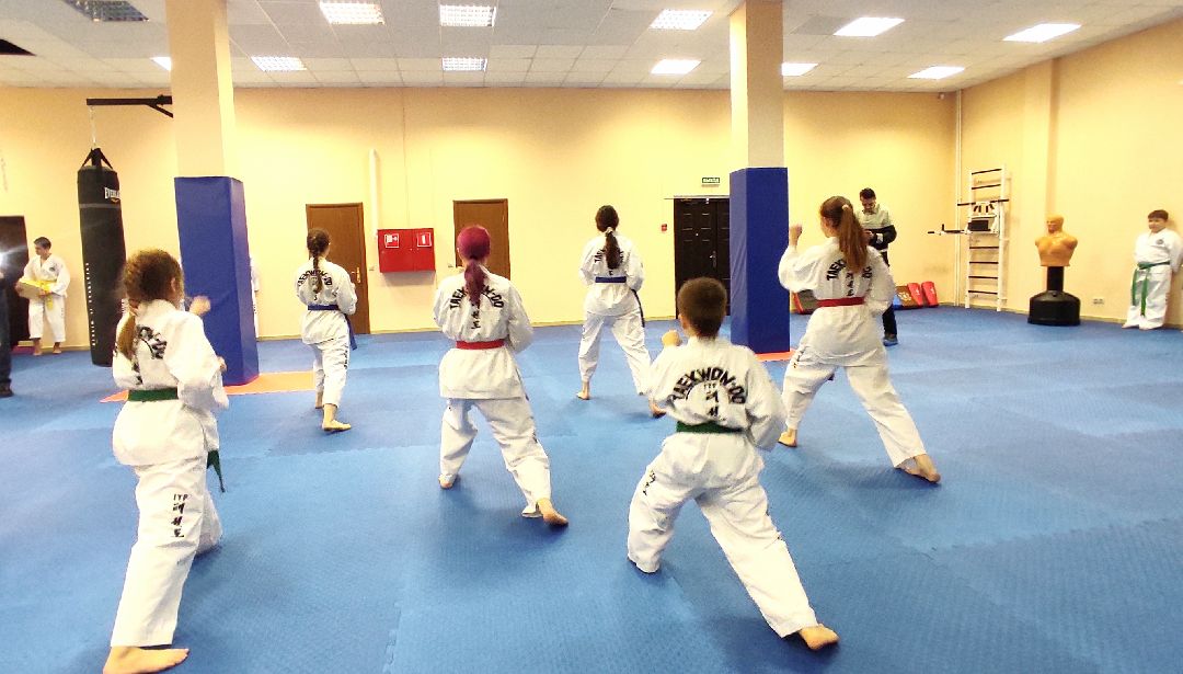 Лобня, спорт, бокс, тхэквондо