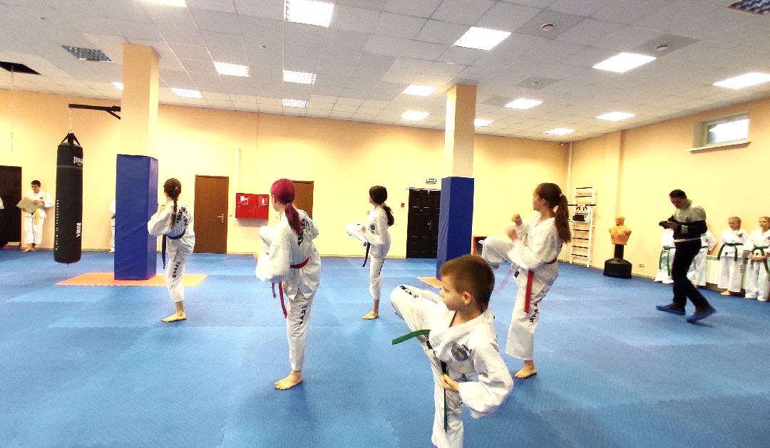 Лобня, спорт, бокс, тхэквондо