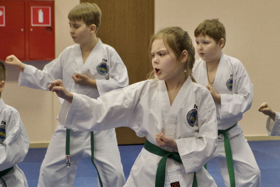 Лобня, спорт, бокс, тхэквондо