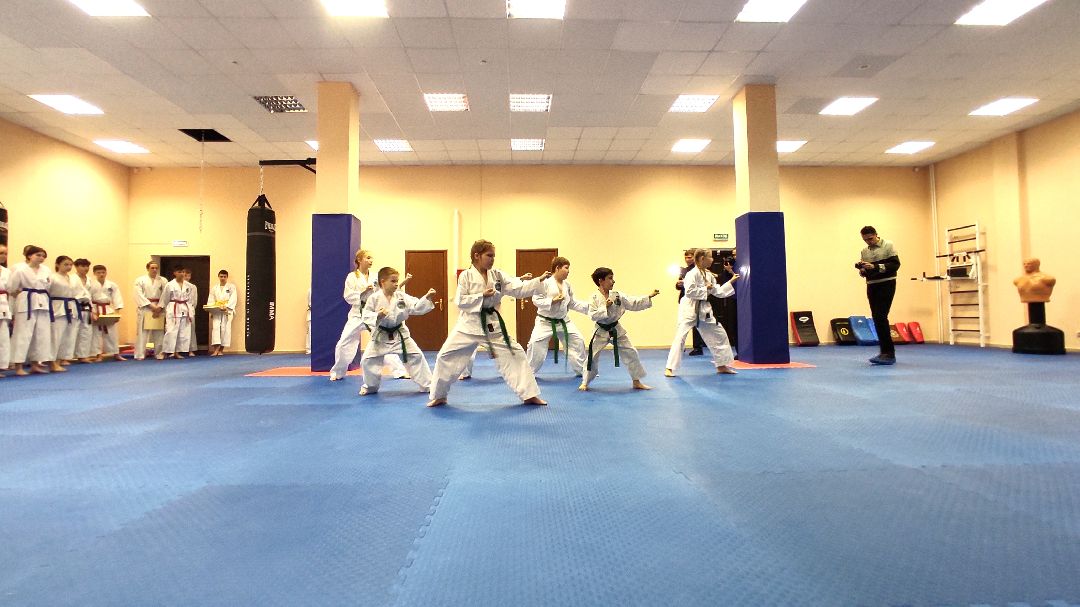 Лобня, спорт, бокс, тхэквондо