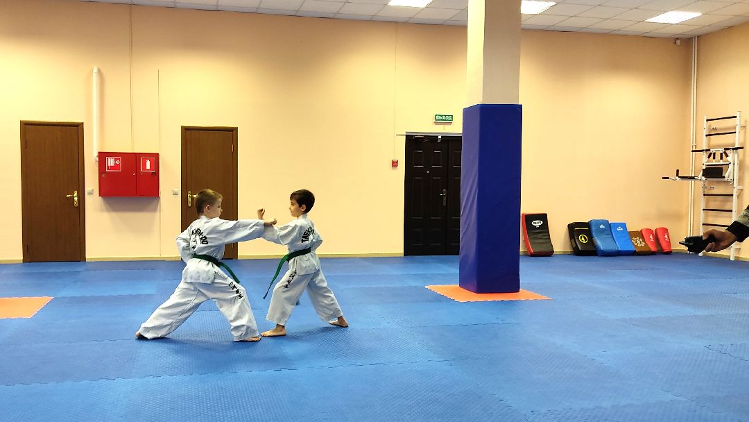 Лобня, спорт, бокс, тхэквондо